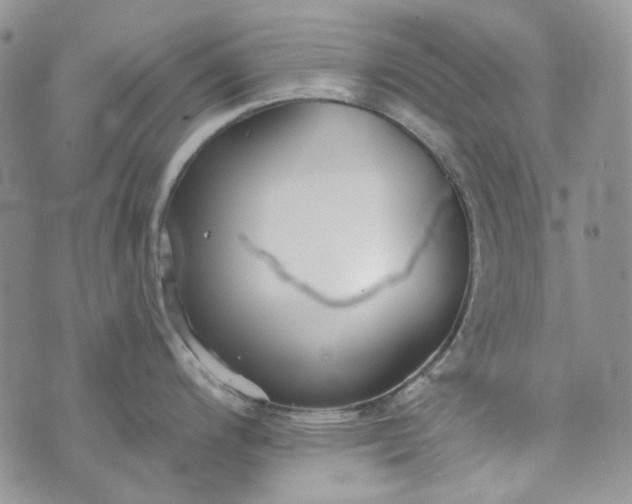 X0000072971200200608041210