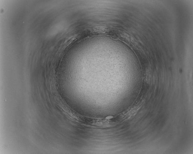 X0000072971201200608041209