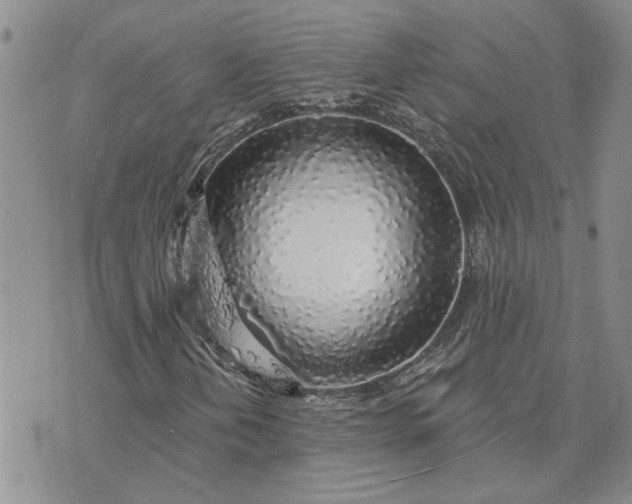 X0000072971202200608041209