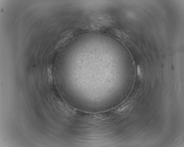 X0000072971203200608041209