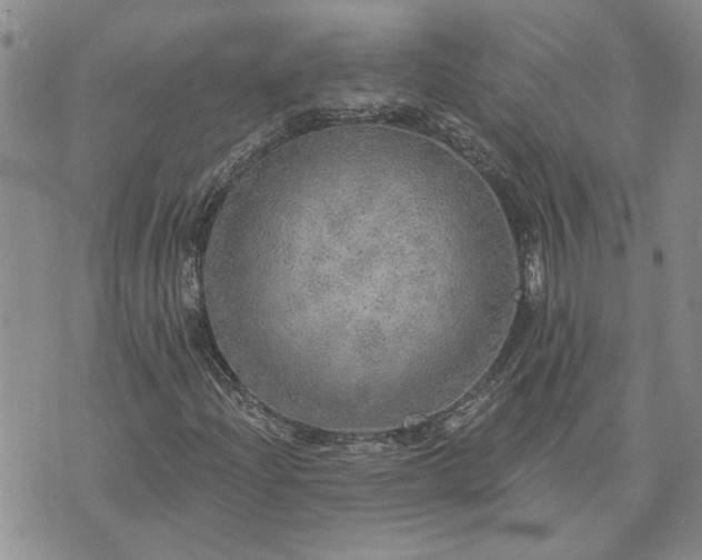 X0000072971204200608041209