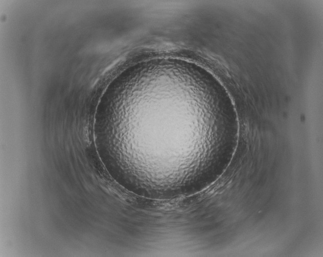 X0000072971205200608041209