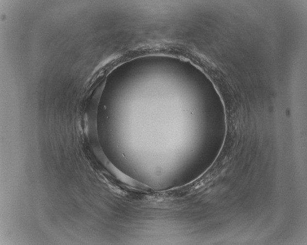 X0000072971206200608041209