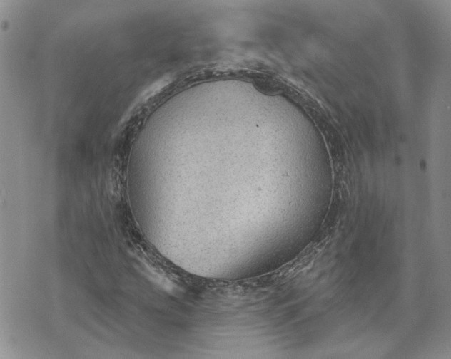 X0000072971207200608041209