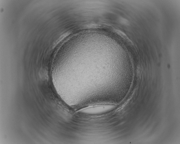 X0000072971209200608041209