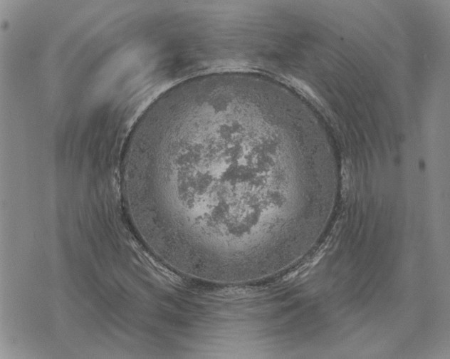 X0000072971212200608041209