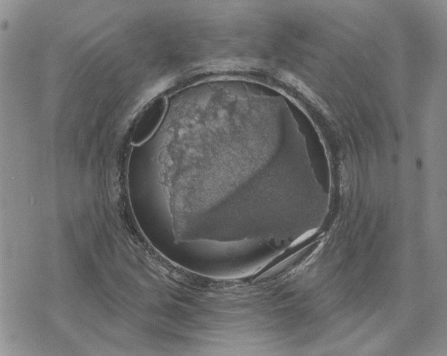 X0000072971213200608041209