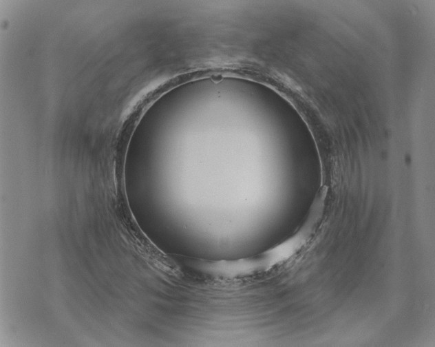 X0000072971214200608041209