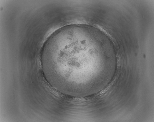 X0000072971215200608041209