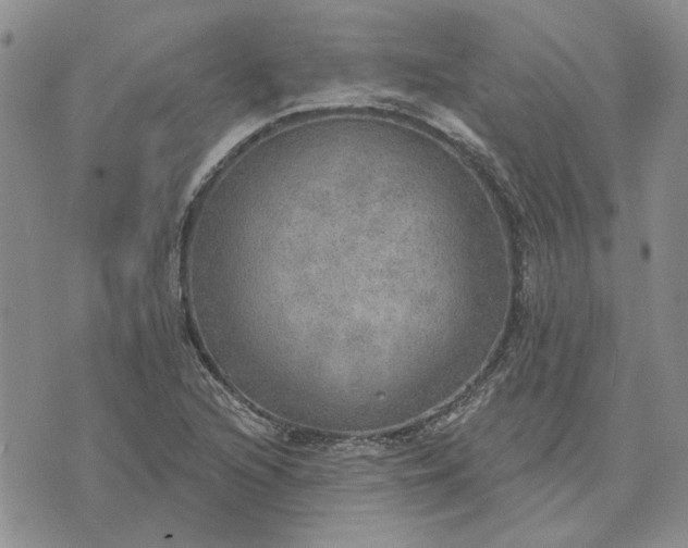 X0000072971216200608041209