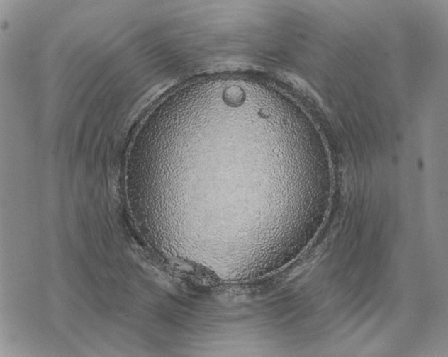 X0000072971217200608041209