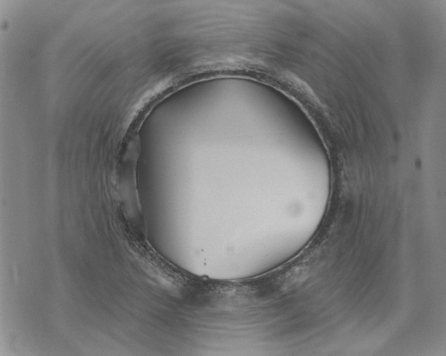 X0000072971218200608041209