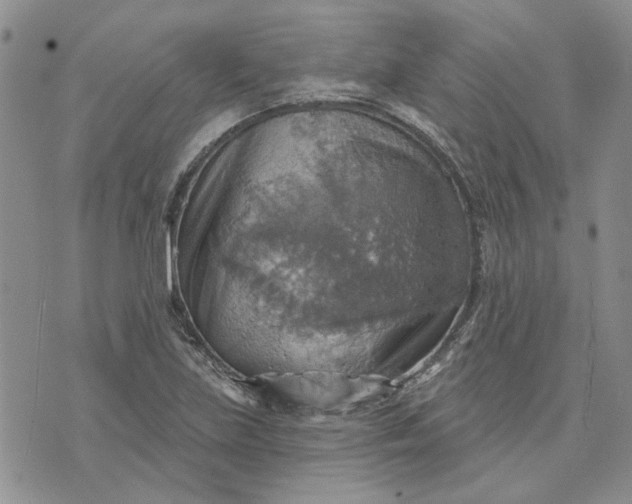 X0000072971219200608041209