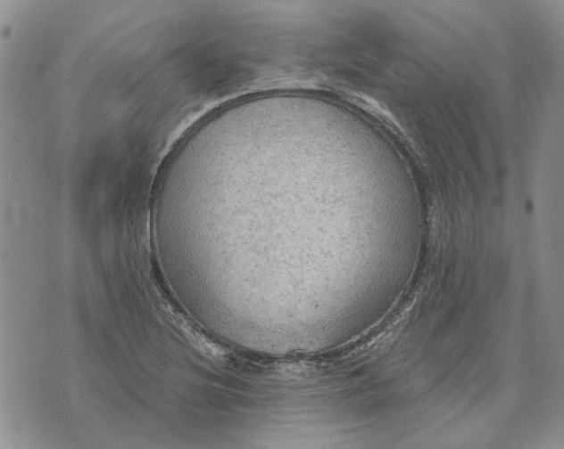 X0000072971220200608041209