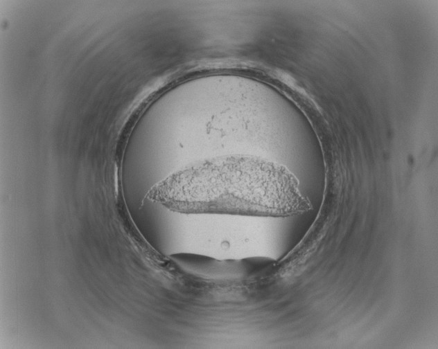 X0000072971221200608041209