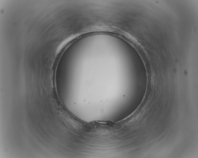 X0000072971222200608041209