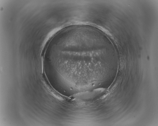 X0000072971223200608041210