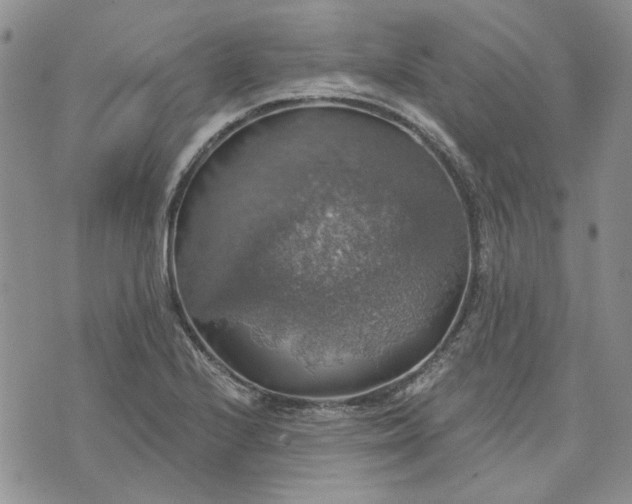 X0000072971224200608041210