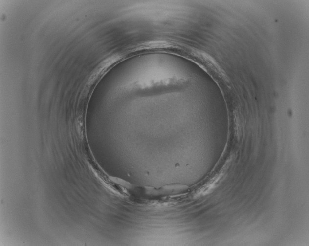 X0000072971225200608041210