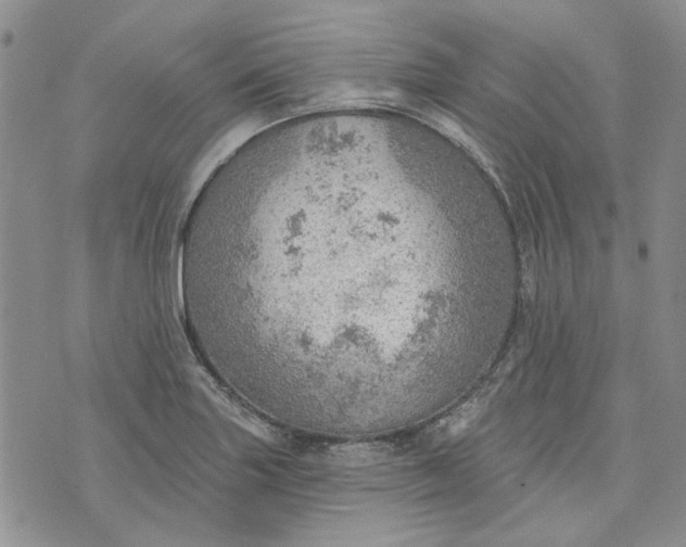 X0000072971227200608041210