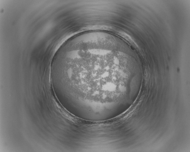 X0000072971228200608041210