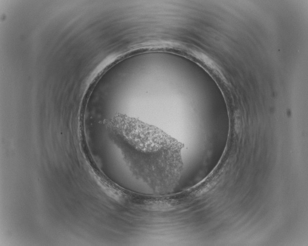 X0000072971229200608041210