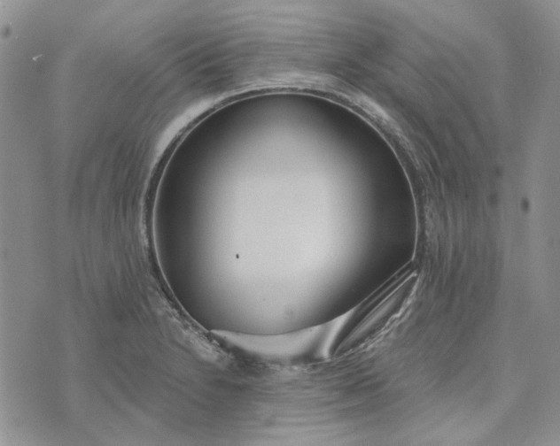 X0000072971230200608041210