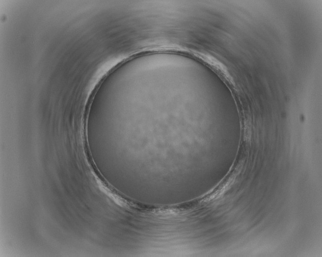 X0000072971231200608041210