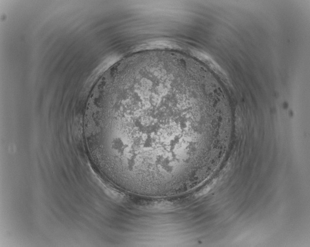 X0000072971233200608041210