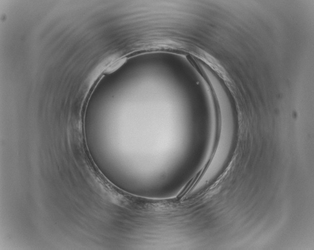 X0000072971234200608041210