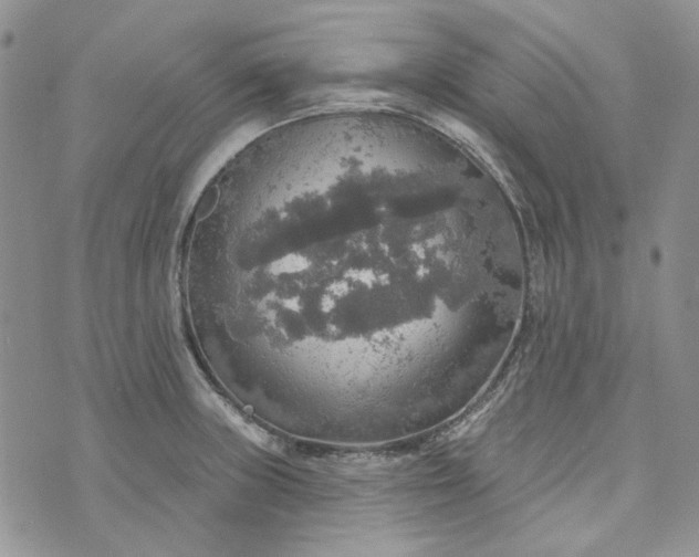 X0000072971235200608041210