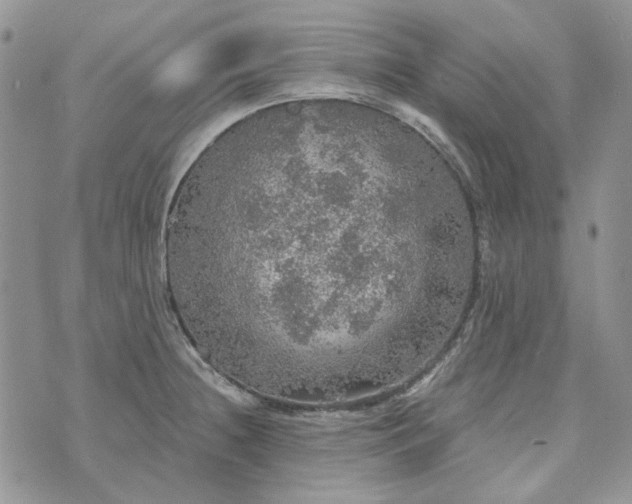 X0000072971236200608041210