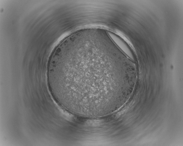 X0000072971237200608041210