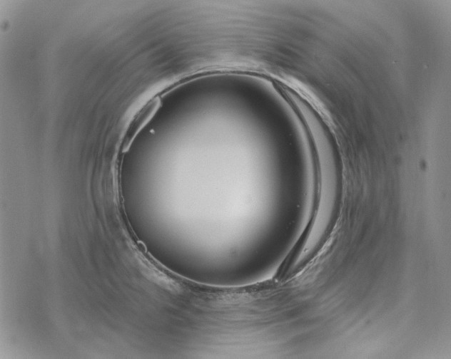 X0000072971238200608041210