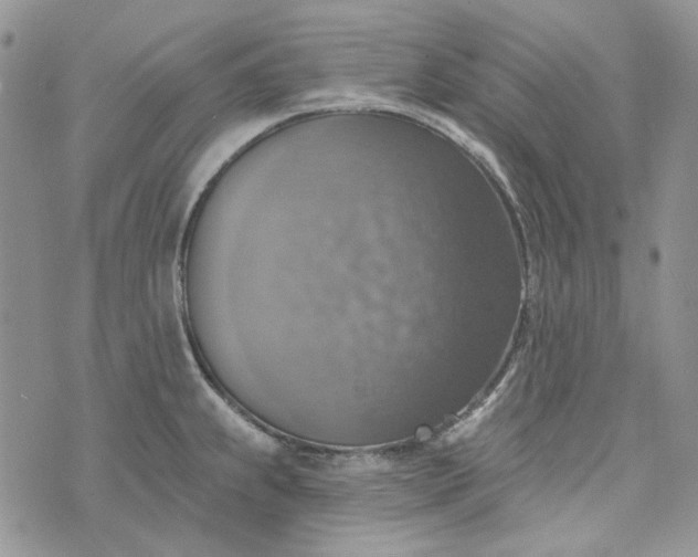 X0000072971239200608041210