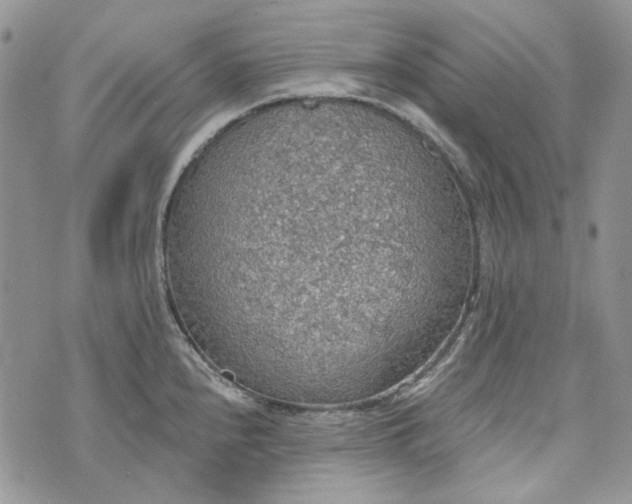 X0000072971240200608041210