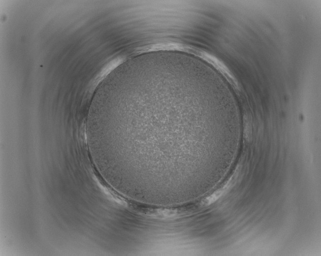 X0000072971241200608041210