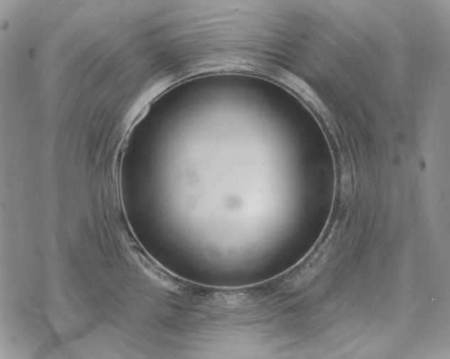 X0000072971242200608041210