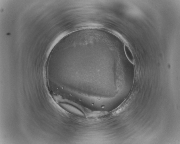 X0000072971243200608041210