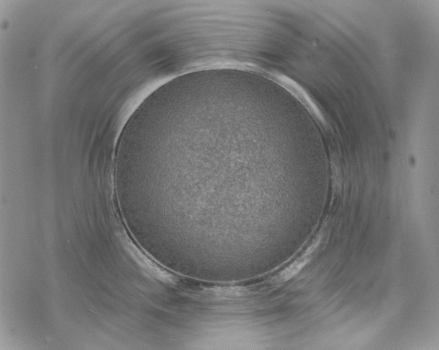 X0000072971244200608041210