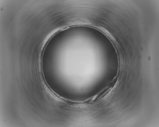 X0000072971246200608041210