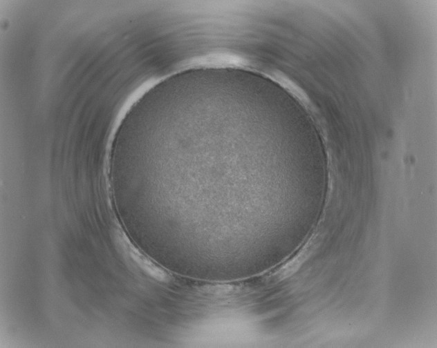 X0000072971248200608041210