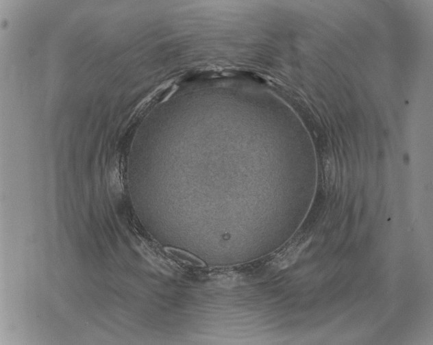 X0000072971250200608041209