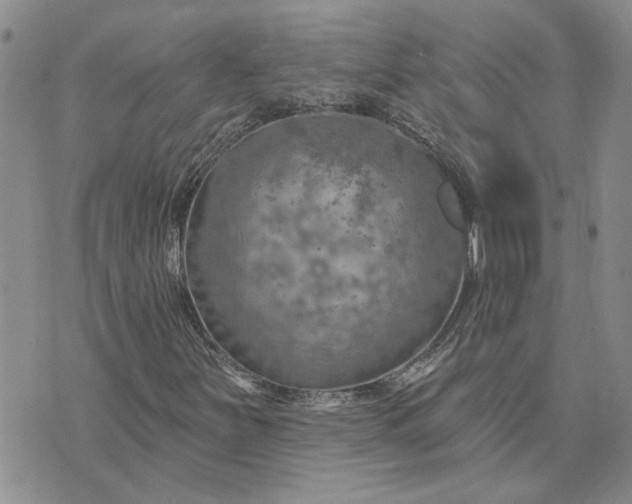 X0000072971251200608041209