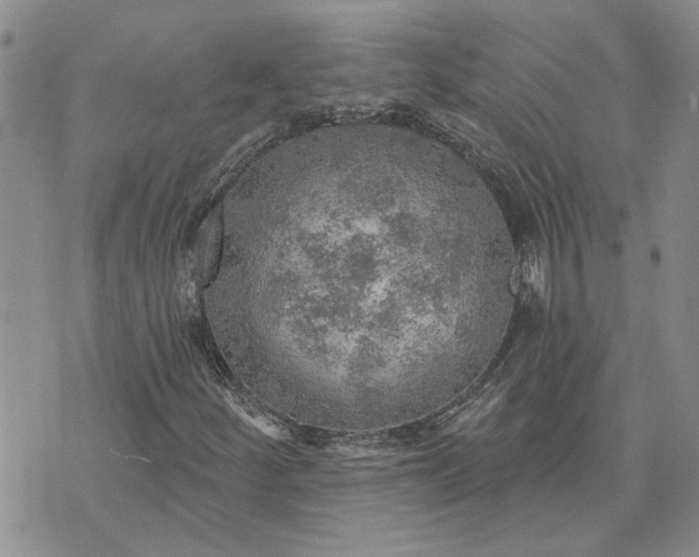 X0000072971252200608041209