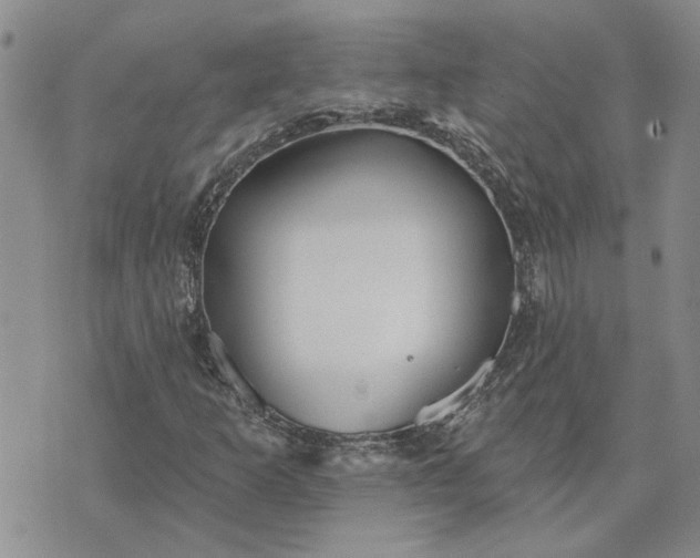 X0000072971253200608041209