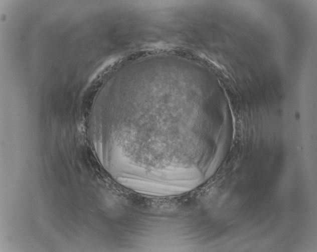 X0000072971254200608041209