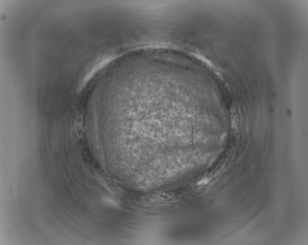 X0000072971255200608041209