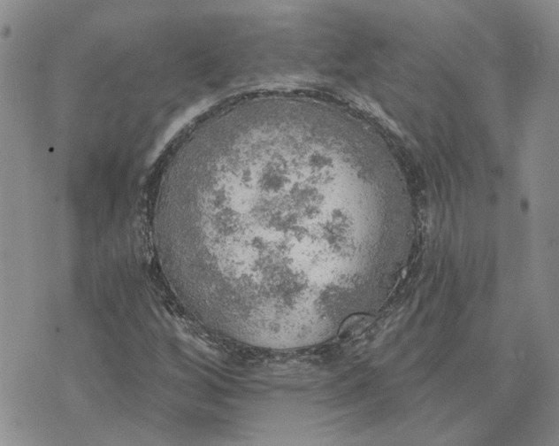 X0000072971256200608041209