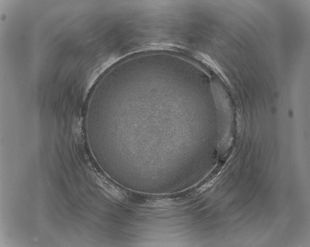 X0000072971260200608041209